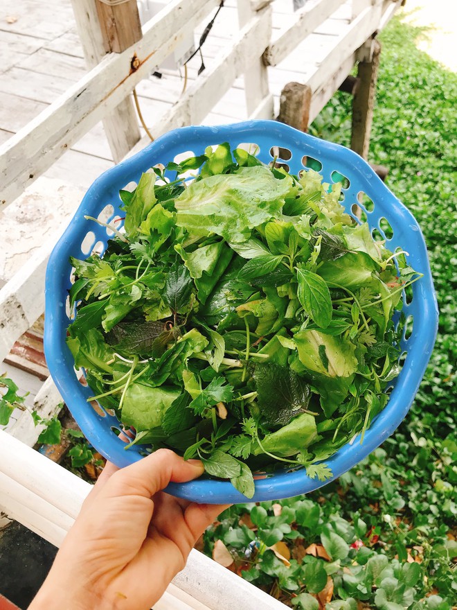 Chuyến xê dịch từ Hà Nội đến Tuy Hòa bằng tàu hỏa của 2 em bé: Đầy trải nghiệm mới mẻ, xinh xẻo và đáng nhớ- Ảnh 13.