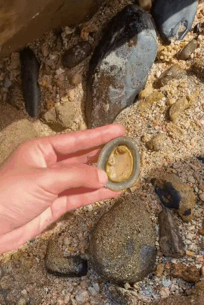 Điểm đến duy nhất ở Việt Nam có thể săn ảnh máy bong da truc tiep xoi lac hạ cánh sát mặt biển, lại được thưởng thức món hải sản 'độc nhất vô nhị' của đại dương- Ảnh 7.