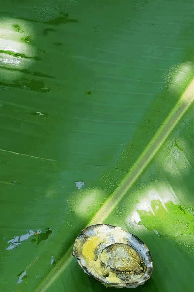 Điểm đến duy nhất ở Việt Nam có thể săn ảnh máy bong da truc tiep xoi lac hạ cánh sát mặt biển, lại được thưởng thức món hải sản 'độc nhất vô nhị' của đại dương- Ảnh 11.