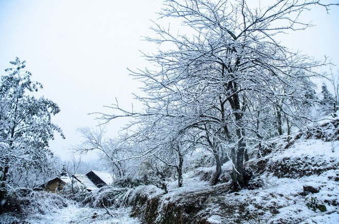Lào Cai: Đề xuất xây dựng hệ thống tạo tuyết nhân tạo để phát triển du lịch băng tuyết trở thành sản phẩm độc đáo, duy nhất của Việt Nam- Ảnh 2. Lào Cai: Đề xuất xây dựng hệ thống tạo tuyết nhân tạo để phát triển du lịch băng tuyết trở thành sản phẩm độc đáo, duy nhất của Việt Nam- Ảnh 2.