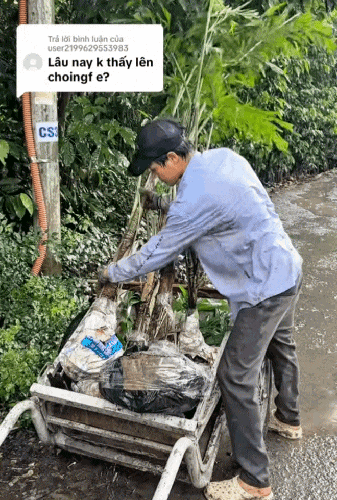 Mẹ đơn th&acirc;n Ph&uacute; Thọ lấy chồng thiếu gia: Sống trong resort ngh&igrave;n tỷ nhưng kh&ocirc;ng khoe đồng hồ, xe sang m&agrave; lại say sưa review ph&acirc;n b&oacute;n- Ảnh 9.