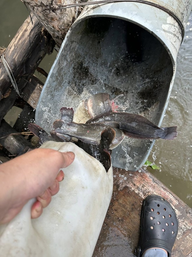 Nam MC đ&igrave;nh đ&aacute;m n&oacute;i thẳng một điều về ng&agrave;y v&iacute;a Thần T&agrave;i: "Chẳng phải để khoe m&agrave; l&agrave; để x&uacute;i" - Ảnh 3.