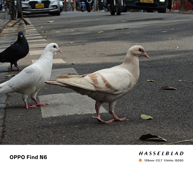 Đ&aacute;nh gi&aacute; smartphone gập OPPO Find N6: Sự tỉ mỉ trong từng đường n&eacute;t nhỏ - Ảnh 15.