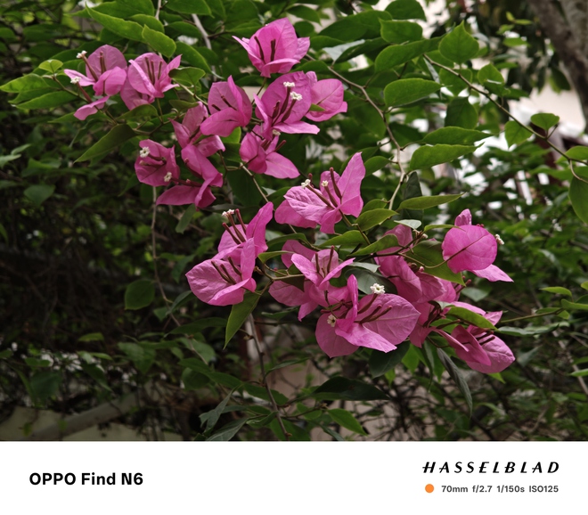 Đ&aacute;nh gi&aacute; smartphone gập OPPO Find N6: Sự tỉ mỉ trong từng đường n&eacute;t nhỏ - Ảnh 17.