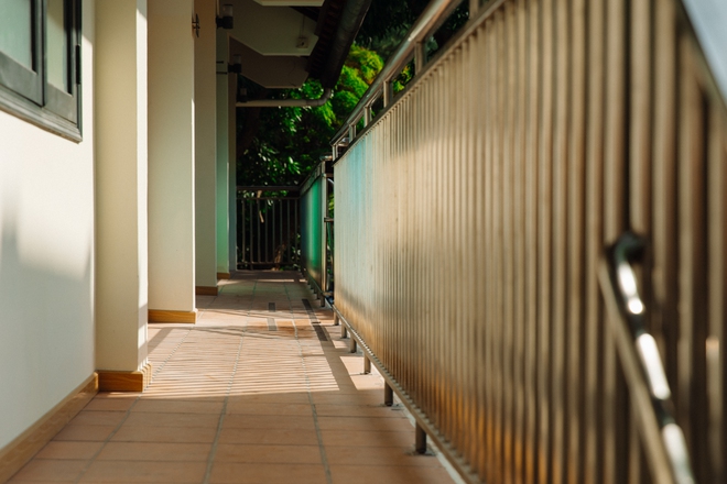 Trụ sở mới của Nh&agrave; Văn h&oacute;a Thanh ni&ecirc;n: "T&ograve;a l&acirc;u đ&agrave;i cổ t&iacute;ch" 5.000m2 xanh mướt, từng l&agrave; trường học của giới thượng lưu- Ảnh 9.