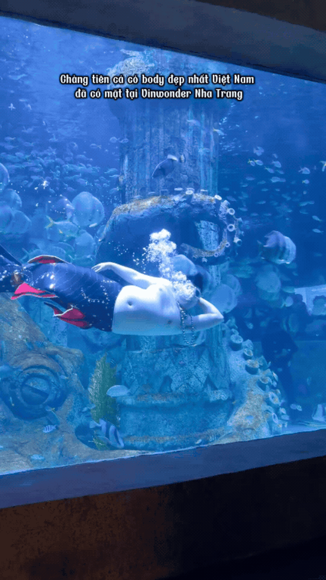 Ch&acirc;n dung b&agrave; b&aacute;n tr&aacute;i c&acirc;y v&agrave; ch&agrave;ng ti&ecirc;n c&aacute; khiến kh&aacute;ch T&acirc;y xếp h&agrave;ng d&agrave;i chờ gặp- Ảnh 5.