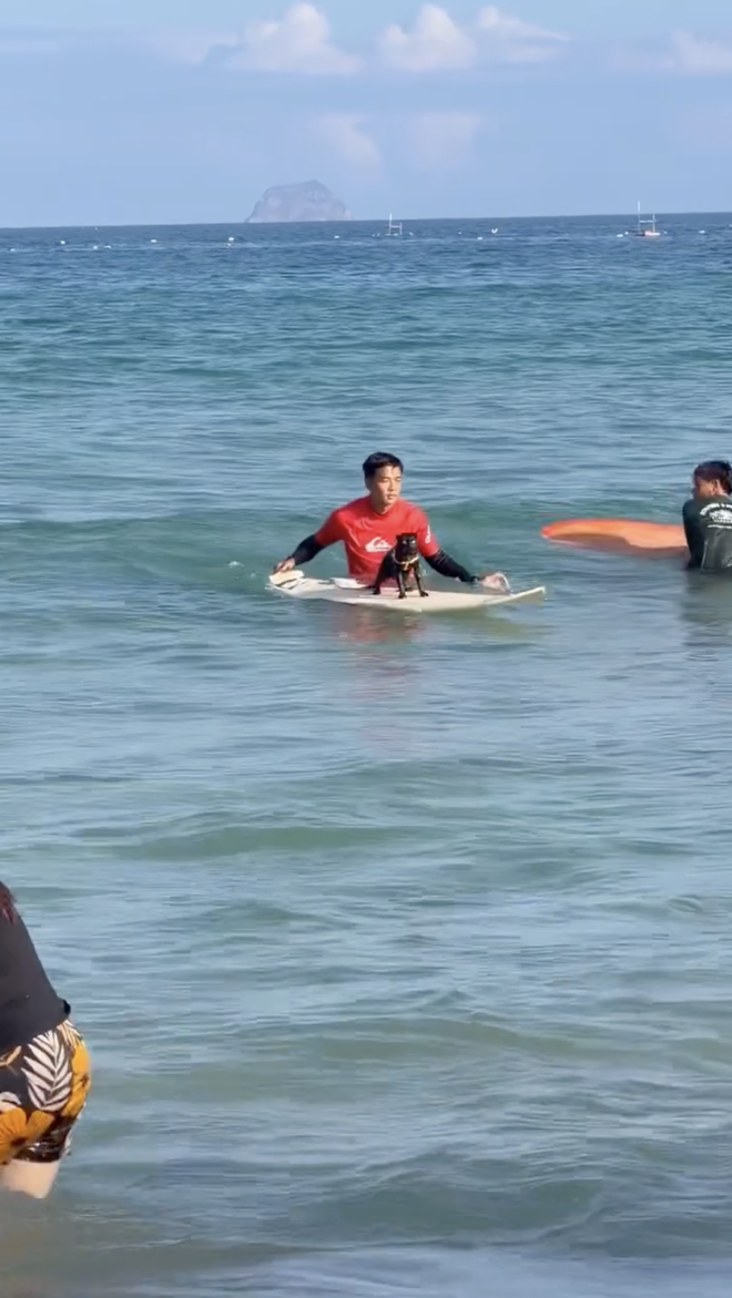 Sốc ch&uacute; m&egrave;o đen lướt s&oacute;ng ở Nha Trang l&agrave;m khối anh em ngậm ng&ugrave;i nhận thua - Ảnh 4.