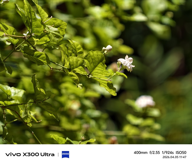 Trải nghiệm camera tr&ecirc;n vivo X300 Ultra: Vẫn &ldquo;đỉnh ch&oacute;p&rdquo;, nhưng kh&ocirc;ng phải ai cũng cần- Ảnh 42.