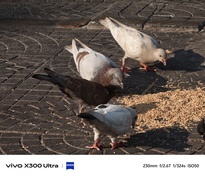 Trải nghiệm camera tr&ecirc;n vivo X300 Ultra: Vẫn &ldquo;đỉnh ch&oacute;p&rdquo;, nhưng kh&ocirc;ng phải ai cũng cần- Ảnh 41.