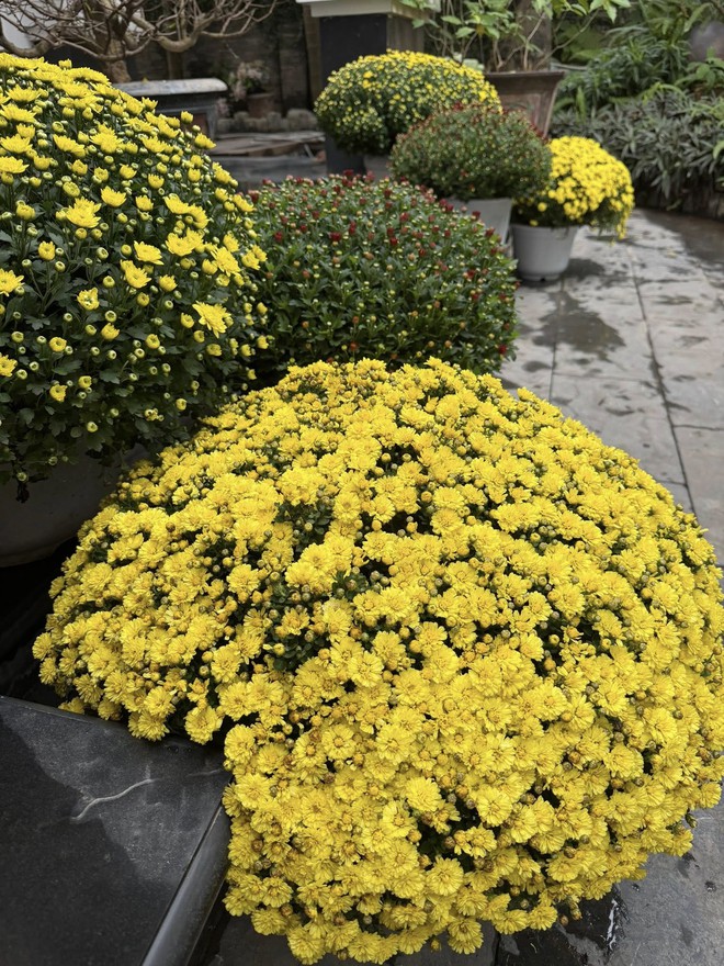 Tiểu thư H&agrave; th&agrave;nh cưới "ho&agrave;ng tử showbiz": Sống trong biệt thự bạc tỷ giữa khu nh&agrave; gi&agrave;u, mỗi g&oacute;c đều to&aacute;t l&ecirc;n vibe sang chảnh vi&ecirc;n m&atilde;n- Ảnh 7.