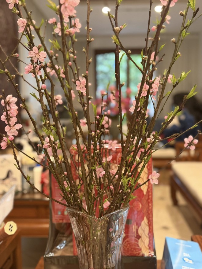 Tiểu thư H&agrave; th&agrave;nh cưới "ho&agrave;ng tử showbiz": Sống trong biệt thự bạc tỷ giữa khu nh&agrave; gi&agrave;u, mỗi g&oacute;c đều to&aacute;t l&ecirc;n vibe sang chảnh vi&ecirc;n m&atilde;n- Ảnh 5.