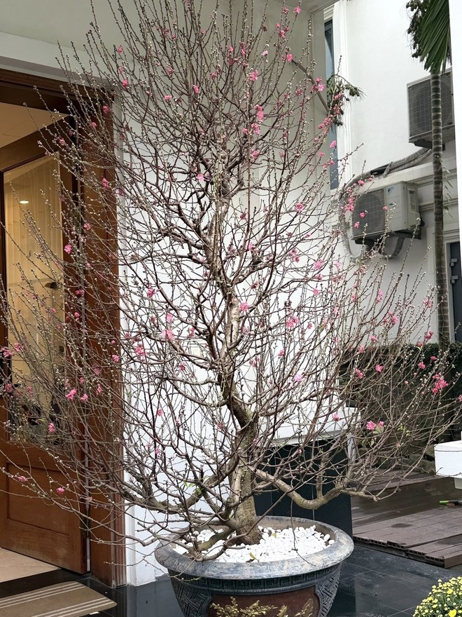 Tiểu thư H&agrave; th&agrave;nh cưới "ho&agrave;ng tử showbiz": Sống trong biệt thự bạc tỷ giữa khu nh&agrave; gi&agrave;u, mỗi g&oacute;c đều to&aacute;t l&ecirc;n vibe sang chảnh vi&ecirc;n m&atilde;n- Ảnh 6.