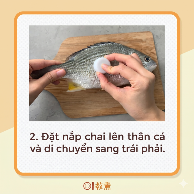 Mẹo đ&aacute;nh vảy c&aacute;: Kh&ocirc;ng cần dao hay đồ b&agrave;o, chỉ d&ugrave;ng 1 
