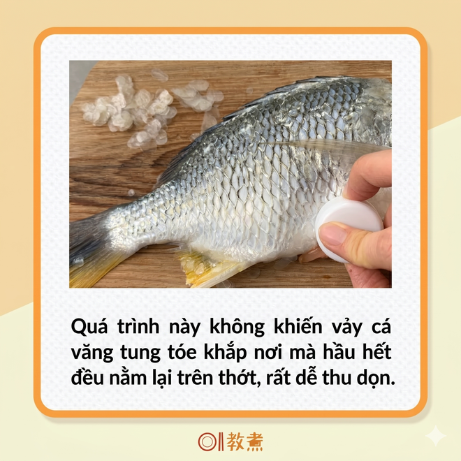 Mẹo đ&aacute;nh vảy c&aacute;: Kh&ocirc;ng cần dao hay đồ b&agrave;o, chỉ d&ugrave;ng 1 