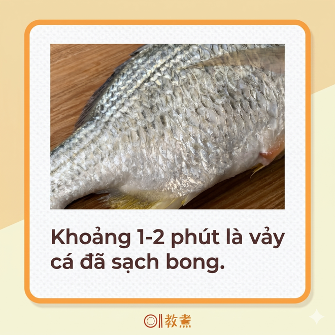 Mẹo đ&aacute;nh vảy c&aacute;: Kh&ocirc;ng cần dao hay đồ b&agrave;o, chỉ d&ugrave;ng 1 