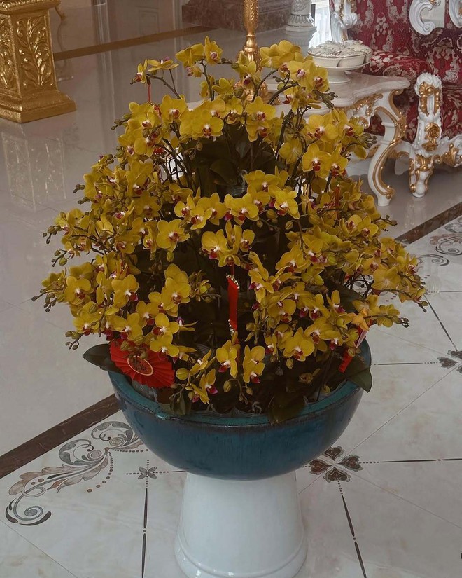 Mỹ nh&acirc;n 26 tuổi cưới ch&aacute;u trai gia tộc gi&agrave;u bậc nhất Việt Nam: Sống trong dinh thự d&aacute;t v&agrave;ng, s&acirc;n nh&agrave; đủ đỗ chục chiếc xe hơi- Ảnh 15.