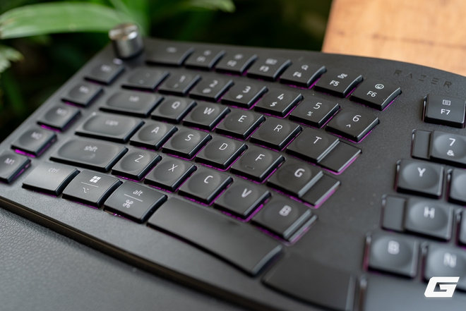 Lần đầu trải nghiệm bộ đ&ocirc;i c&ocirc;ng th&aacute;i học Pro Type Ergo v&agrave; Pro Click V2: Ho&aacute; ra Razer l&agrave;m đồ cho d&acirc;n văn ph&ograve;ng cũng rất ra g&igrave; - Ảnh 12.