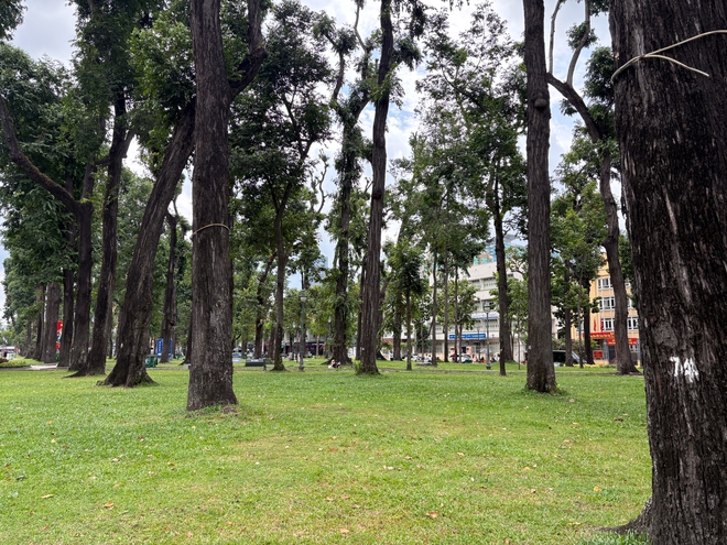 OPPO Find X9s “đọ sức” cùng iPhone 17: Khi camera mới là thứ quyết định cuộc chơi - Ảnh 6.