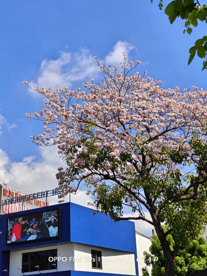OPPO Find X9s “đọ sức” cùng iPhone 17: Khi camera mới là thứ quyết định cuộc chơi - Ảnh 17.