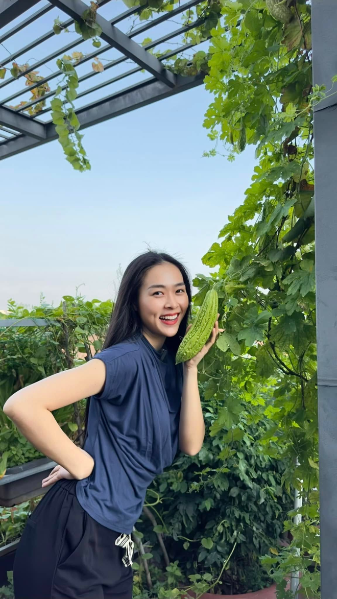 Mỹ ph&acirc;n Ph&iacute; Ph&ocirc;ng - Diệp Bảo Ngọc: L&agrave;m chủ 3 c&ocirc;ng ty, sống trong nh&agrave; phố 100m2, s&acirc;n thượng trồng g&igrave; m&agrave; l&uacute;c n&agrave;o cũng trĩu quả? - Ảnh 4.