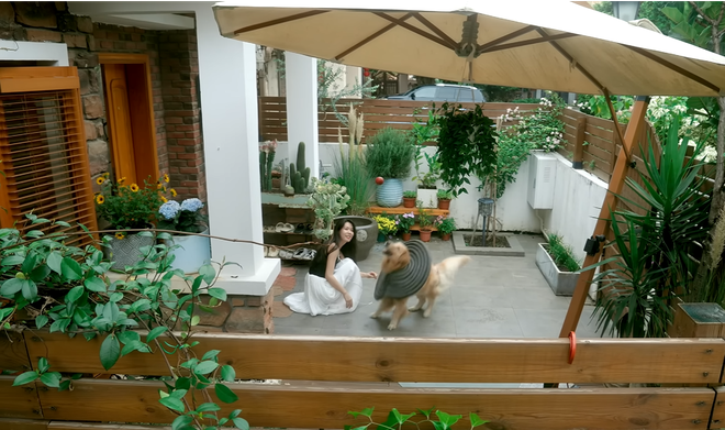 B&ecirc;n trong biệt thự cổ 300m2 giữa rừng của nữ TikToker 3 triệu follower - Ảnh 11.