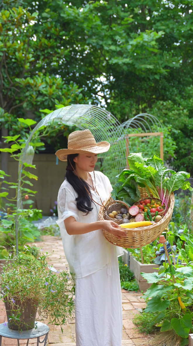 30 tuổi đi thu&ecirc; nh&agrave;, chi th&ecirc;m 1,1 tỷ đồng để cải tạo kh&ocirc;ng gian rộng 200m2, trồng cả vườn rau sạch để ăn- Ảnh 24.