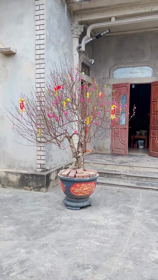 Căn nh&agrave; tuềnh to&agrave;ng ở qu&ecirc; của b&agrave; Tuyết k&ecirc;nh "Ăn C&ugrave;ng B&agrave; Tuyết" - Ảnh 5.