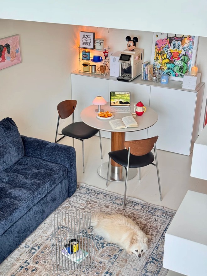 30 tuổi, mua được nhà 30m2 và ở với 2 con mèo: "Thế là đủ sống cả đời" - Ảnh 3.