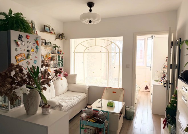 30 tuổi, mua được nhà 30m2 và ở với 2 con mèo: "Thế là đủ sống cả đời" - Ảnh 16.