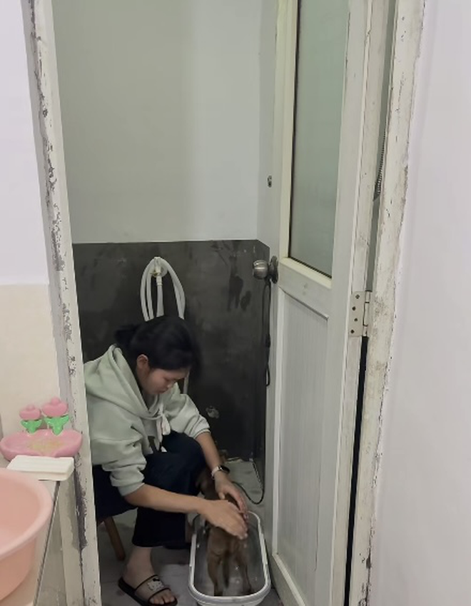 Nhân viên bán hàng SN 2006 thuê nhà vệ sinh 190.000 để tiết kiệm, giờ thế nào?- Ảnh 8.