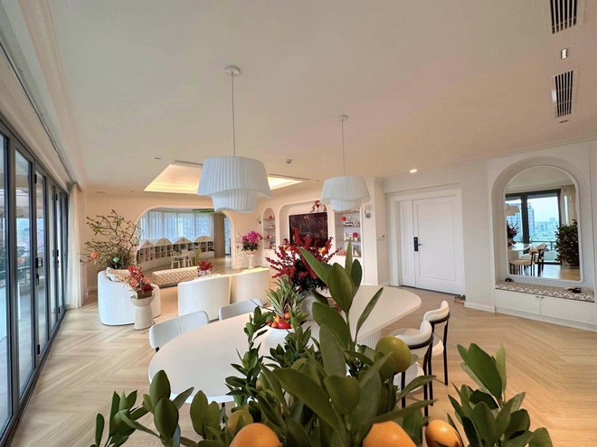 Cô gái trong gia đình làm nông ở Cà Mau lớn lên cưới thiếu gia tập đoàn, sống trong penthouse phường Bến Nghé- Ảnh 8.