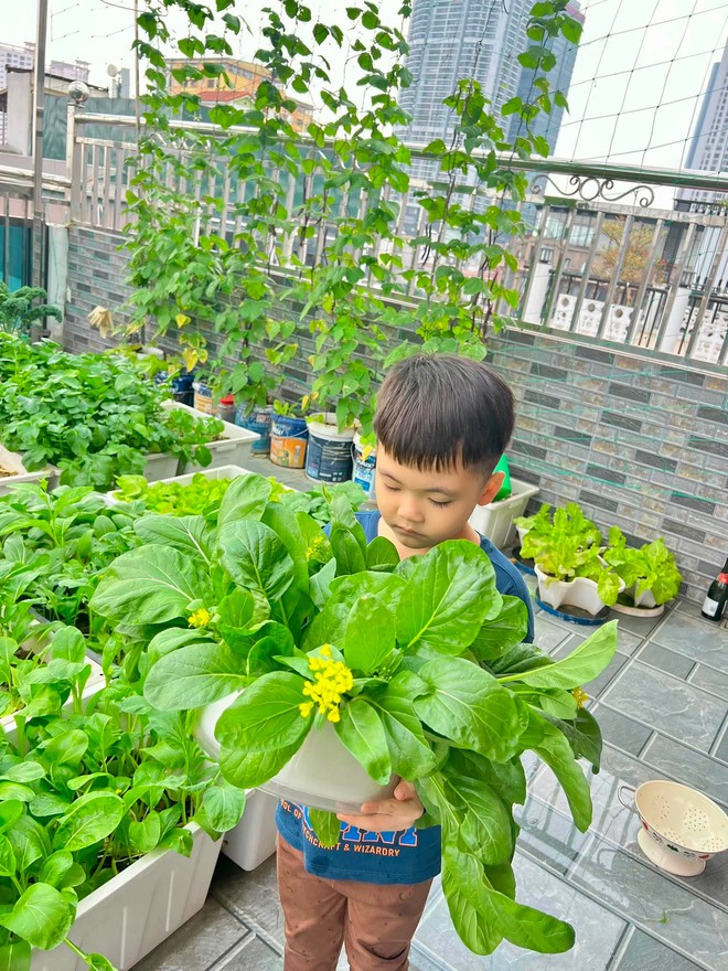 Nữ bác sĩ U40 sáng khám bệnh, tối trồng rau phủ kín sân thượng: Thứ nhận được vượt xa tưởng tượng - Ảnh 12.