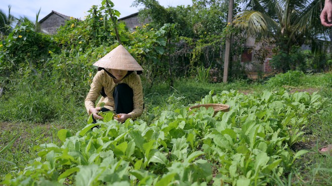 Căn nhà ở quê của mỹ nhân Vĩnh Long từng đội vương miện 1,5 tỷ, nay bán cá khô - Ảnh 12.