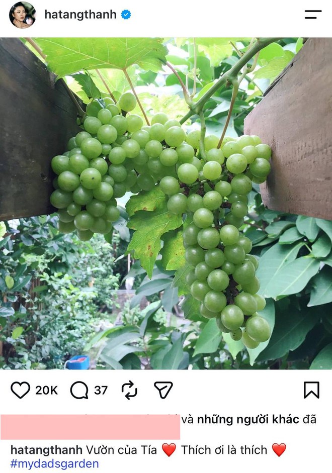 Căn nhà của bố mẹ ruột Tăng Thanh Hà - Ảnh 3.
