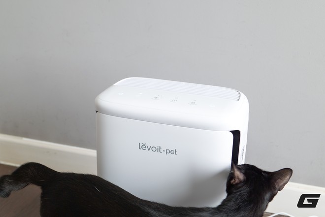 Trải nghiệm Levoit Vital Pet Pro: M&aacute;y lọc kh&ocirc;ng kh&iacute; cần c&oacute; cho hội con sen y&ecirc;u boss lắm l&ocirc;ng - Ảnh 19.