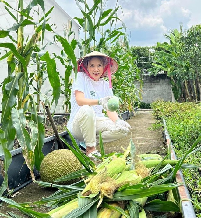 Cơ ngơi ở TP.HCM của Mỹ T&acirc;m- Ảnh 4.