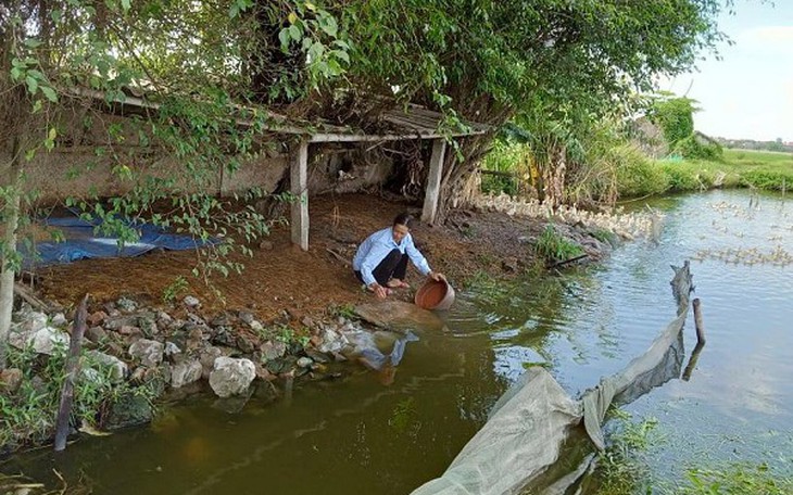 Ảnh minh họa/ Chinhphu.vn
