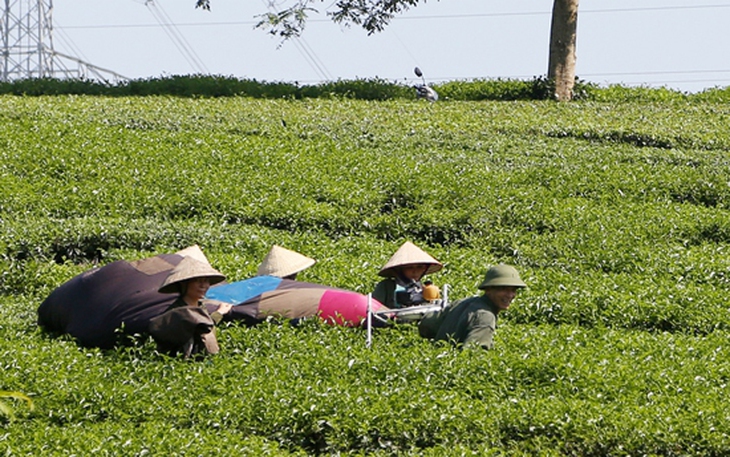 Ảnh minh họa Ảnh minh họa