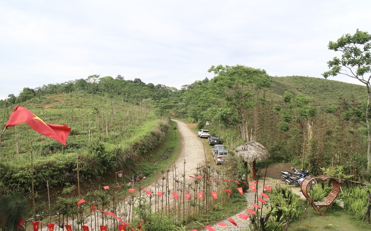 Ảnh minh họa Ảnh minh họa
