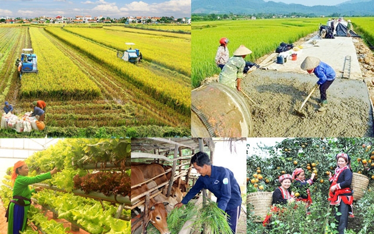 Ảnh minh họa Ảnh minh họa