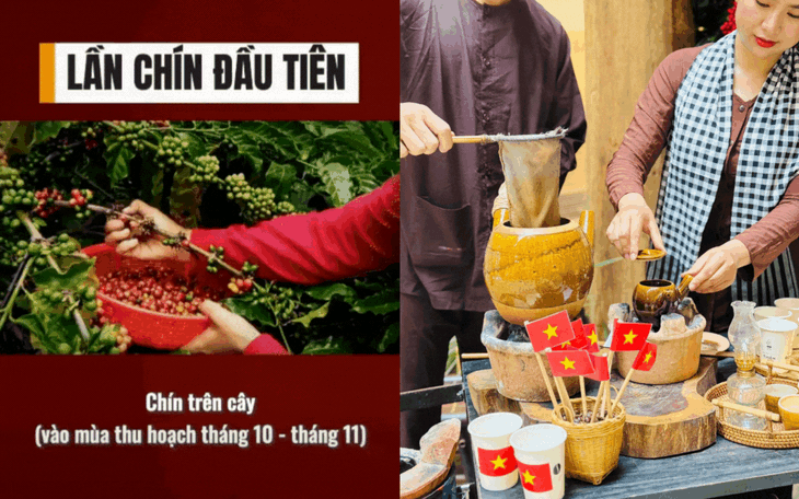 xem bong da truc tiep nhanh nhat