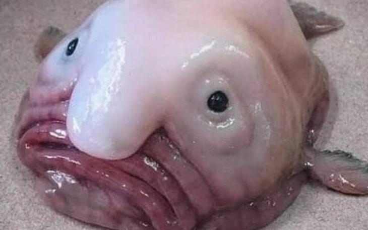 lich tuong thuat truc tiep bong da hom nay