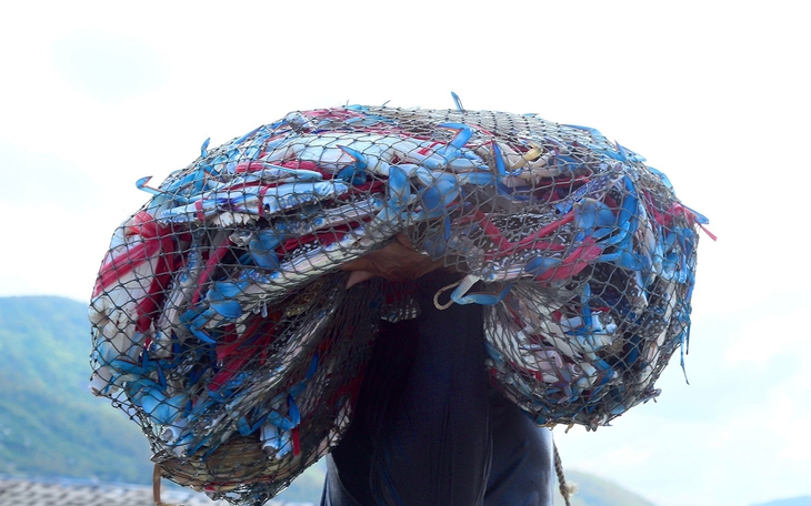 Ảnh: Báo Hà Tĩnh