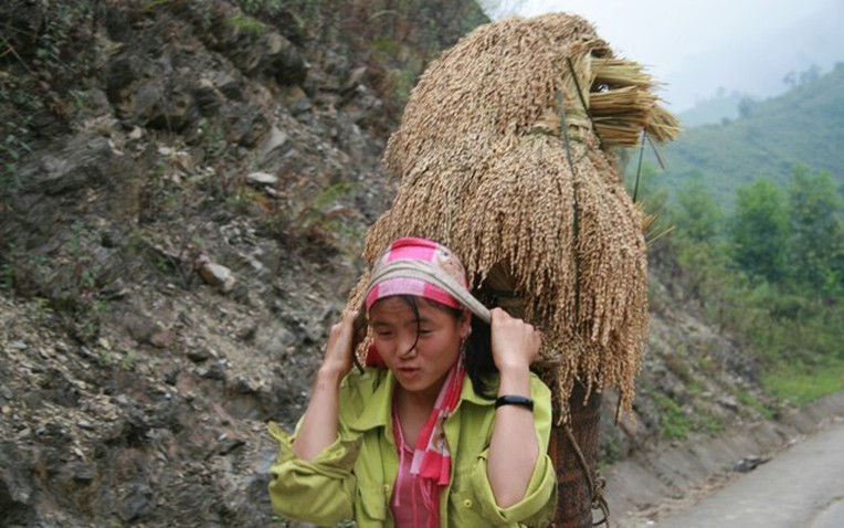 Ảnh minh họa. Nguồn: cema.gov.vn Ảnh minh họa. Nguồn: cema.gov.vn