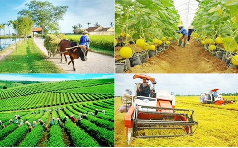 Ảnh minh họa Ảnh minh họa