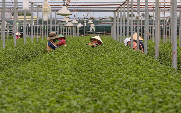 Ảnh minh họa. Nguồn: bvhttdl.gov.vn Ảnh minh họa. Nguồn: bvhttdl.gov.vn