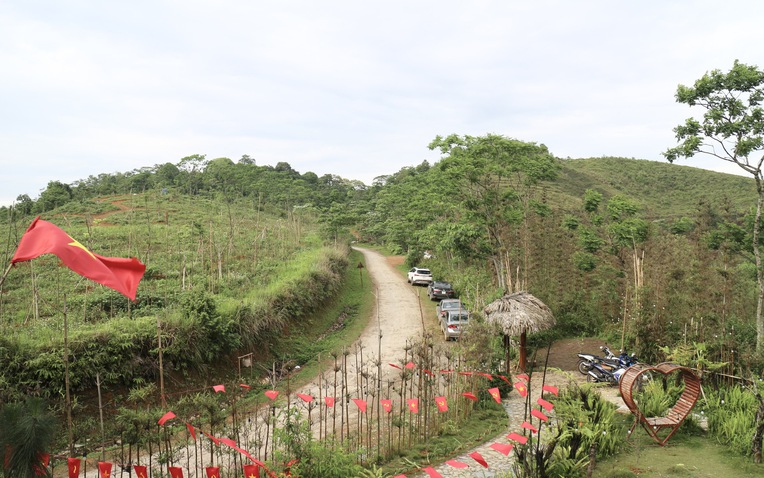 Ảnh minh họa Ảnh minh họa