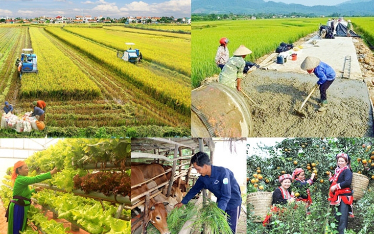 Ảnh minh họa Ảnh minh họa
