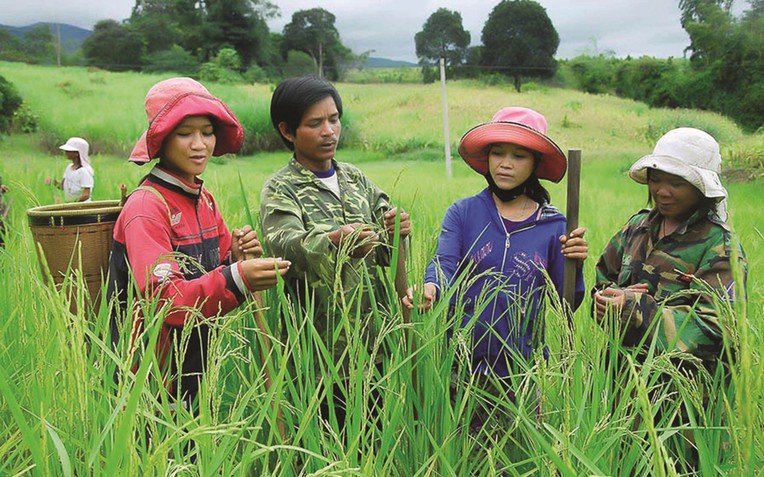 Hỗ trợ vốn cần gắn kết tốt với chuyển giao khoa học - kỹ thuật, đầu ra hàng hóa để có hiệu quả cao. Hỗ trợ vốn cần gắn kết tốt với chuyển giao khoa học - kỹ thuật, đầu ra hàng hóa để có hiệu quả cao.