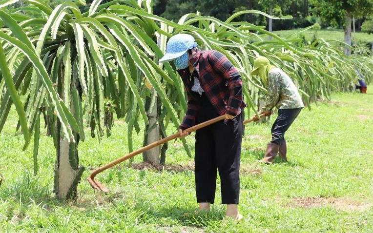 Ảnh minh họa Ảnh minh họa